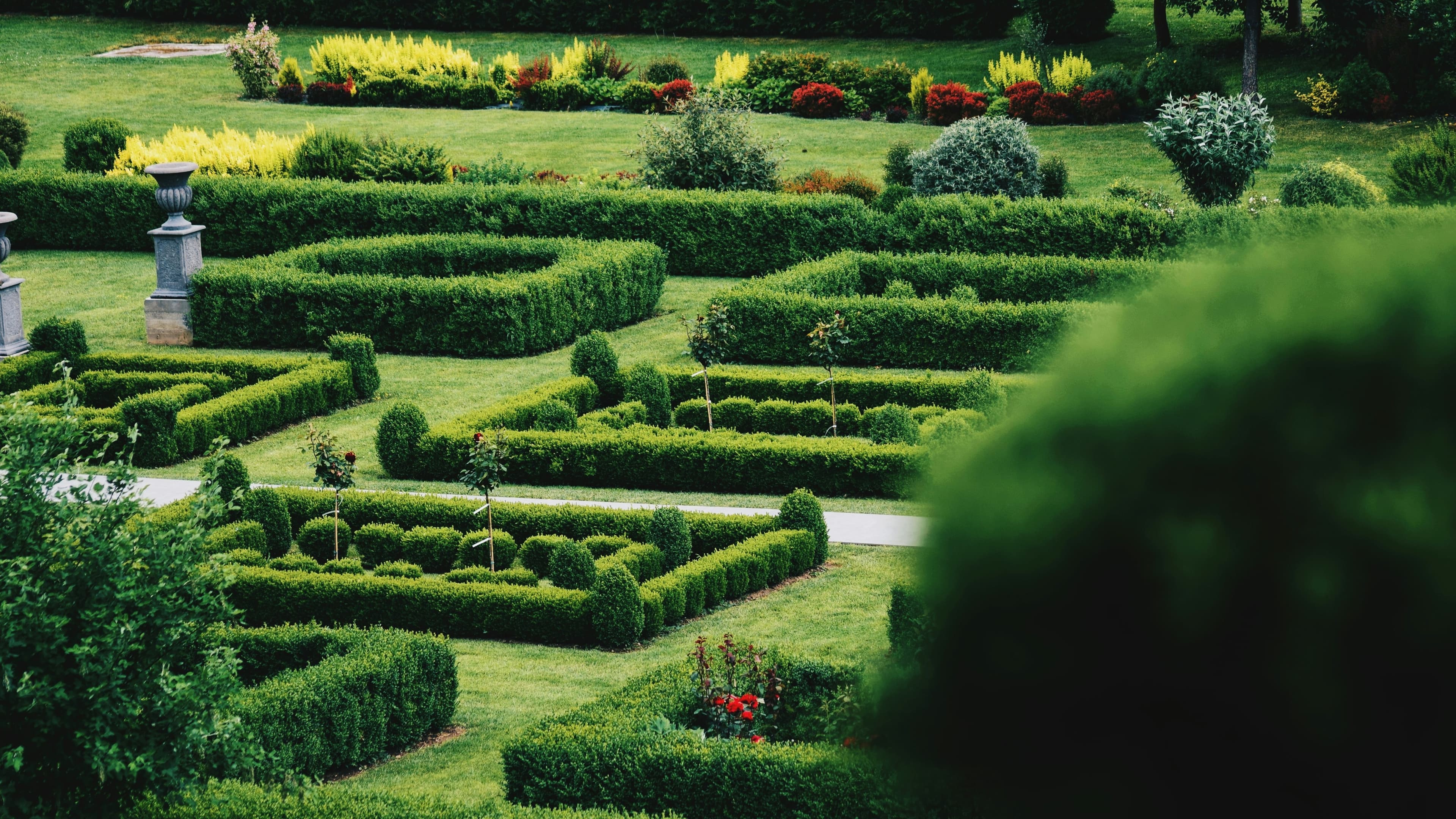 Kisan Nursery – Beautiful Green Garden