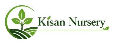 Kisan Nursery