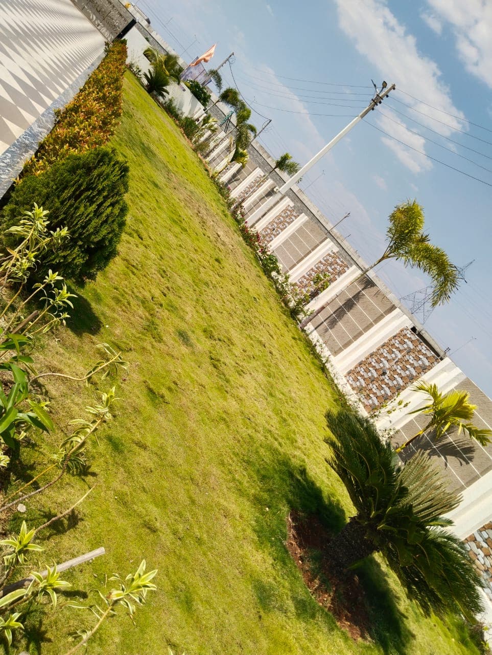 Landscaping Project 12