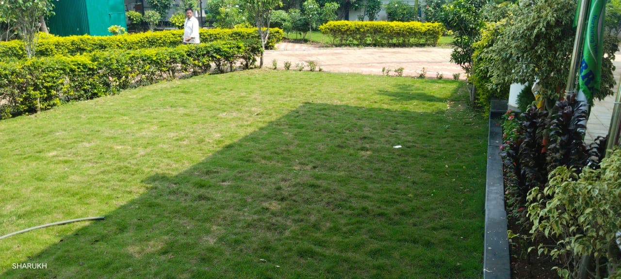 Garden Design Project 29