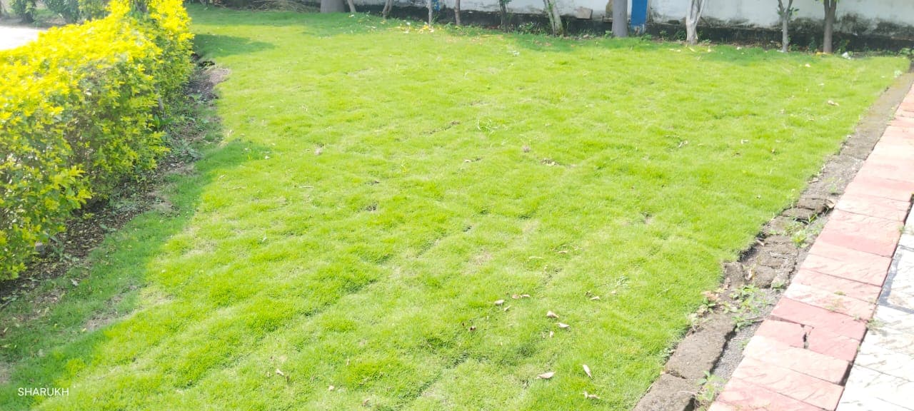 Garden Design Project 32