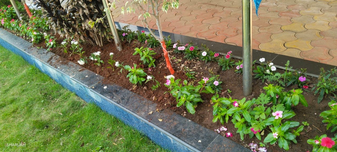 Garden Design Project 36
