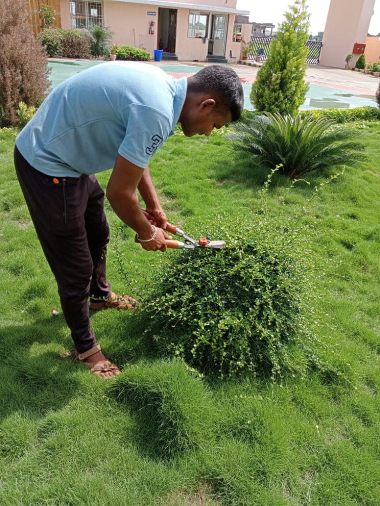 Plantation Project 38