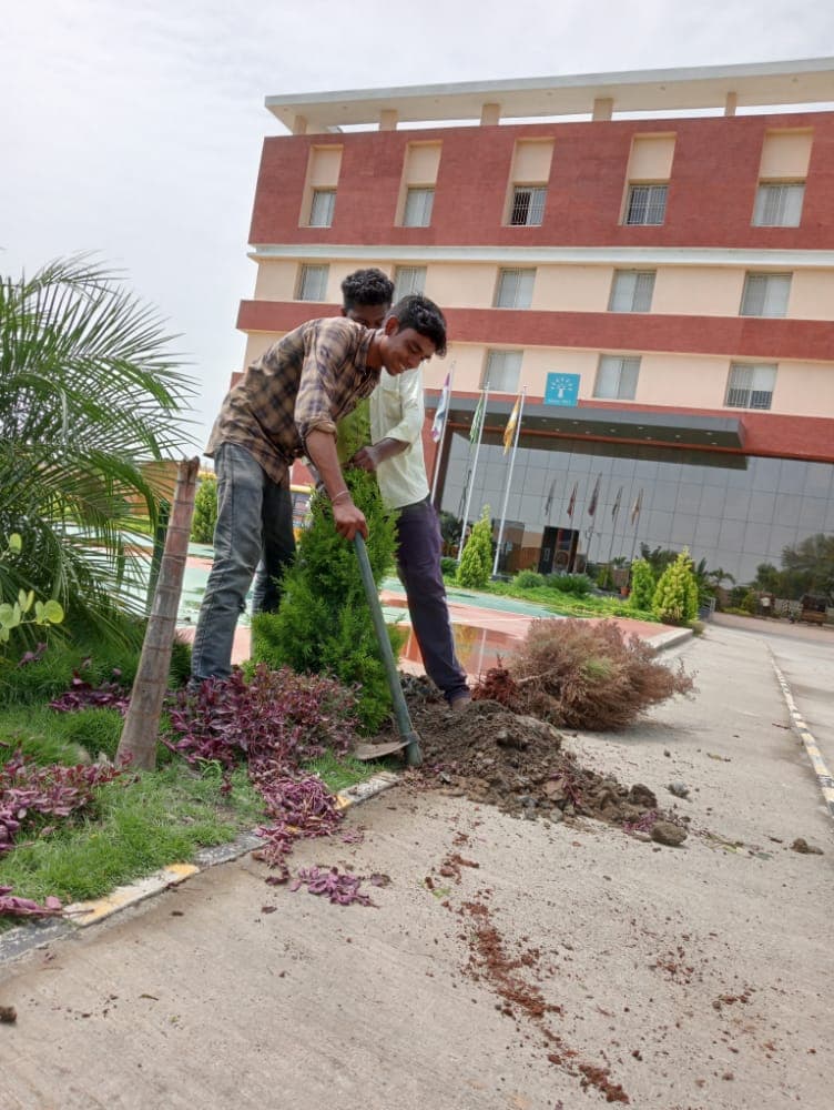 Plantation Project 39