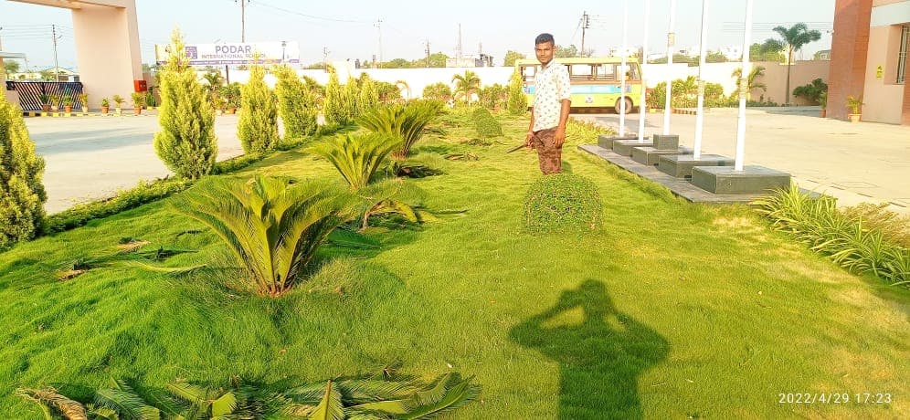Plantation Project 46