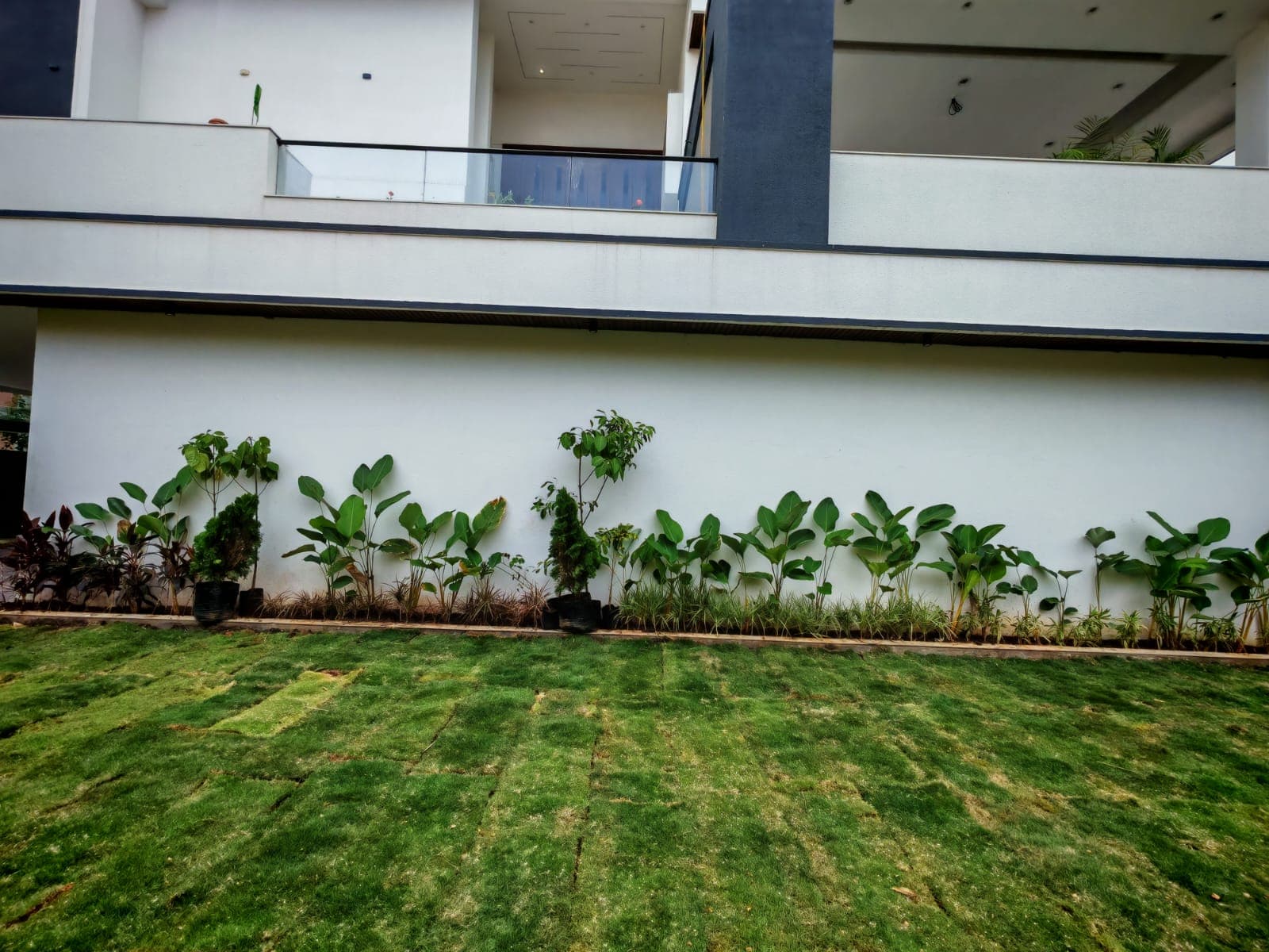 Landscaping Project 58