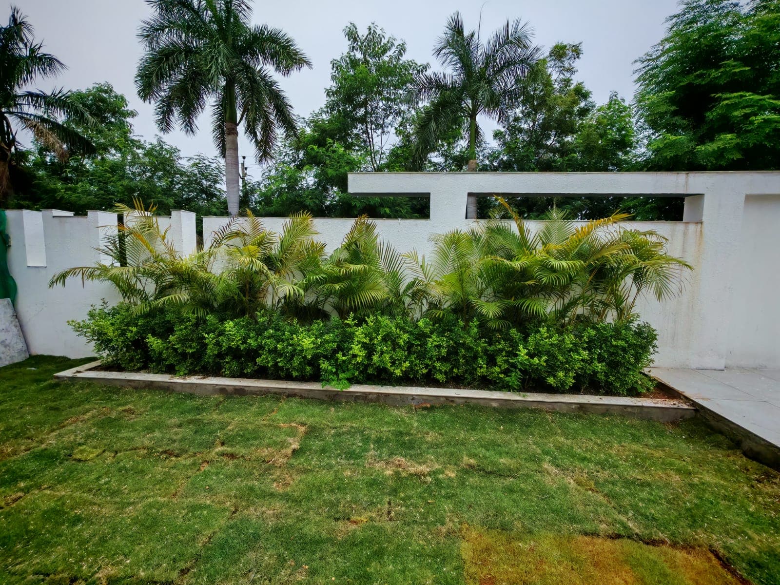 Landscaping Project 59