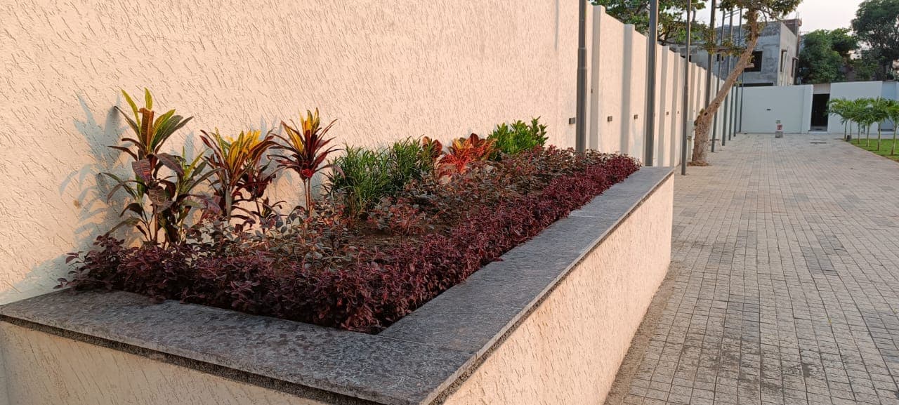 Landscaping Project 60