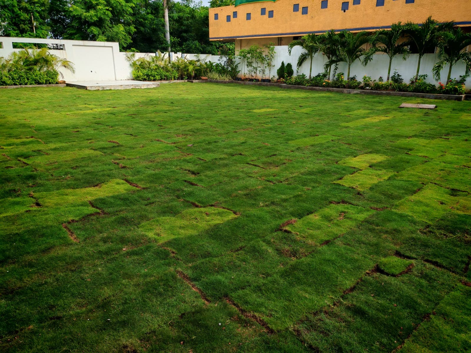 Garden Design Project 61
