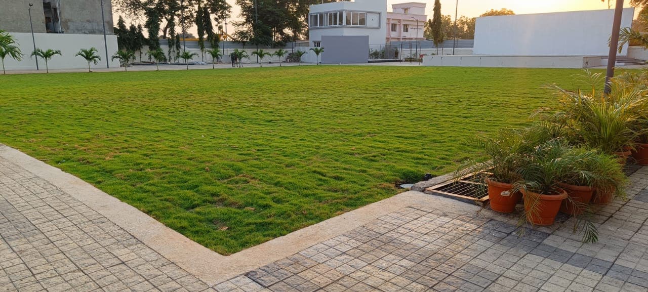 Plantation Project 66