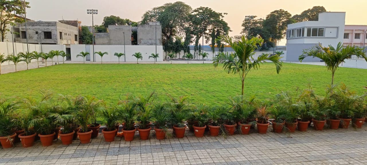 Plantation Project 68