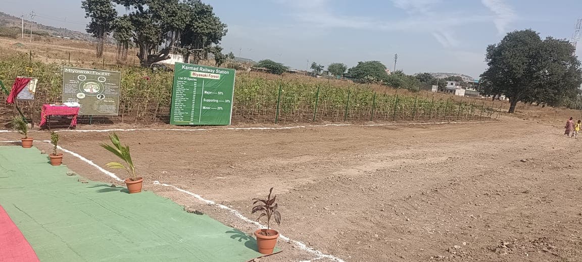 Plantation Project 69