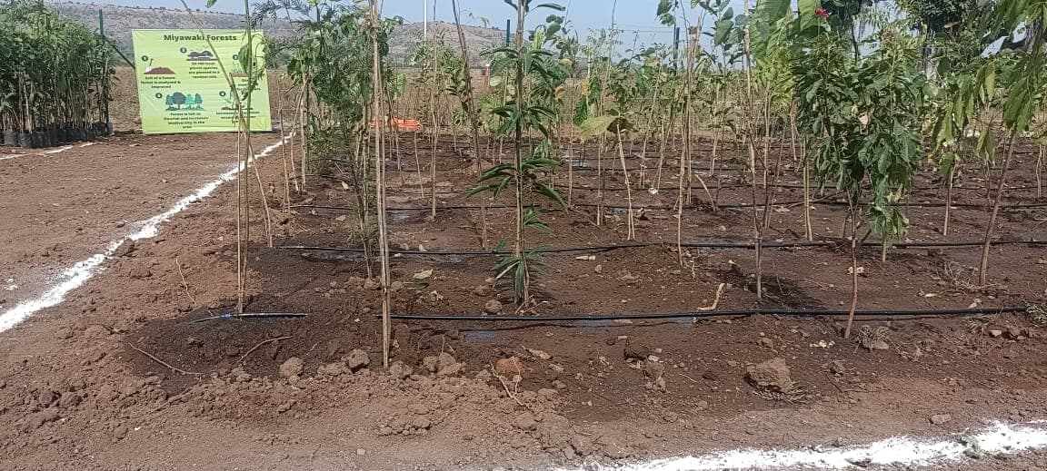 Landscaping Project 73